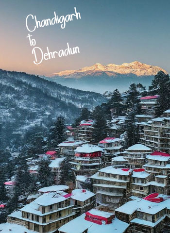 Diamond Travel Chandigarh